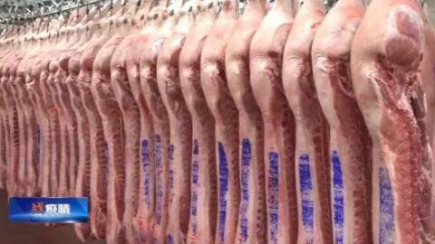 储备肉
