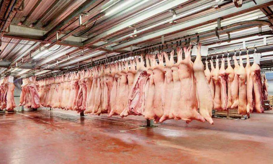 河北宏都实业集团：“严上加严”力保生猪肉品供应