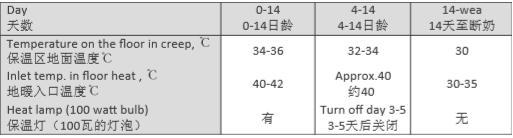 丹育猪