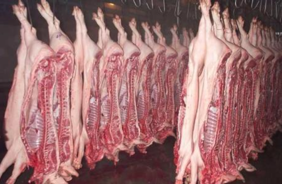 农业农村部：本周瘦肉型白条猪肉出厂价格每公斤50.85元，同比涨212.2%