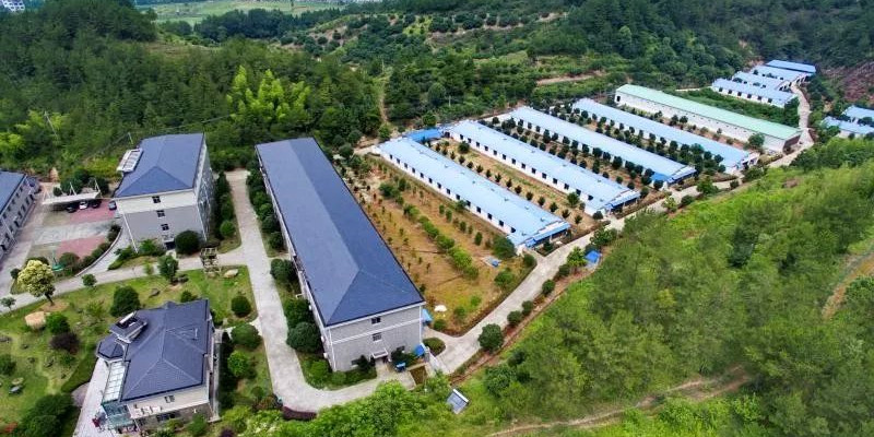 习近平对全国春季农业生产工作作出重要指示