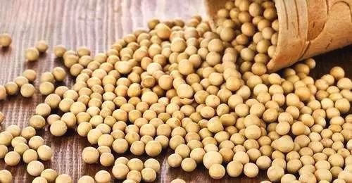 3月2日全国豆粕价格行情表，今日豆粕价格下跌地区明显增多！
