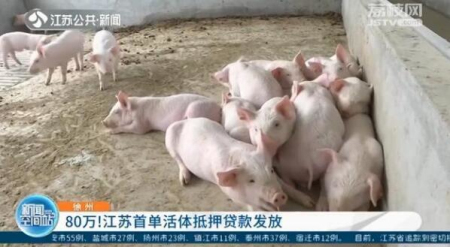 江苏首单活体抵押贷款发放