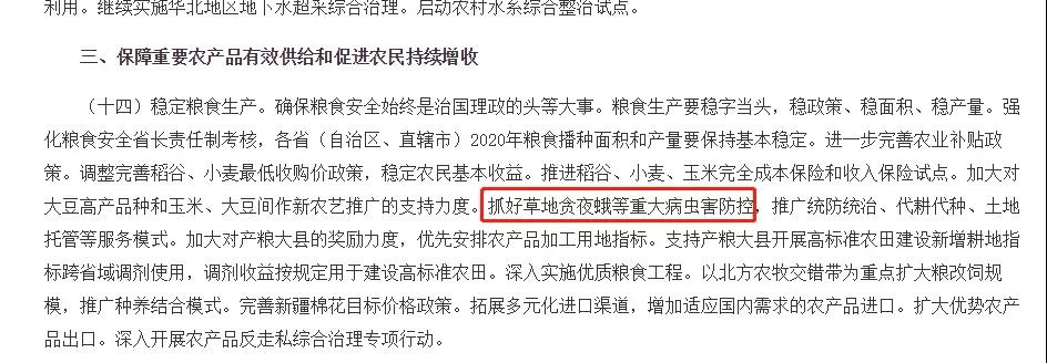 中央一号文件截图