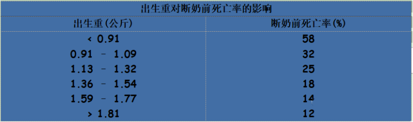 仔猪
