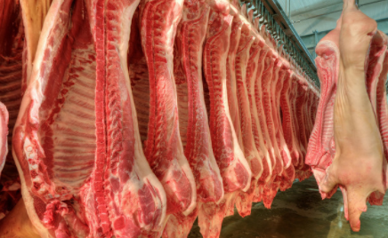 2020年2月瘦肉型白条猪肉出厂价格监测月报