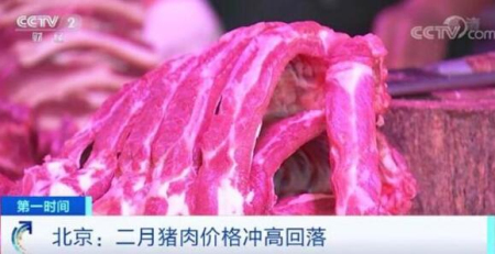 北京：二月猪肉价格冲高回落 未来猪肉供应脆弱会逐渐扭转