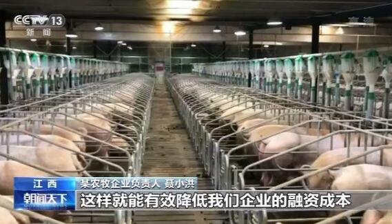 1.7万吨中央储备猪肉