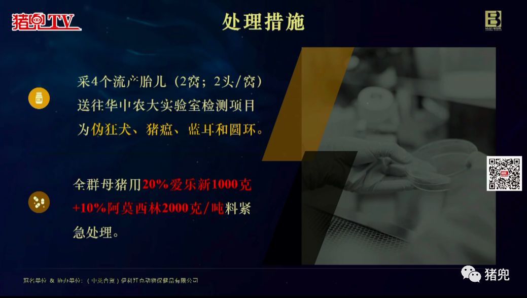 　邓小红博士分享猪场PRRSV类NADC30毒株感染的处理案例