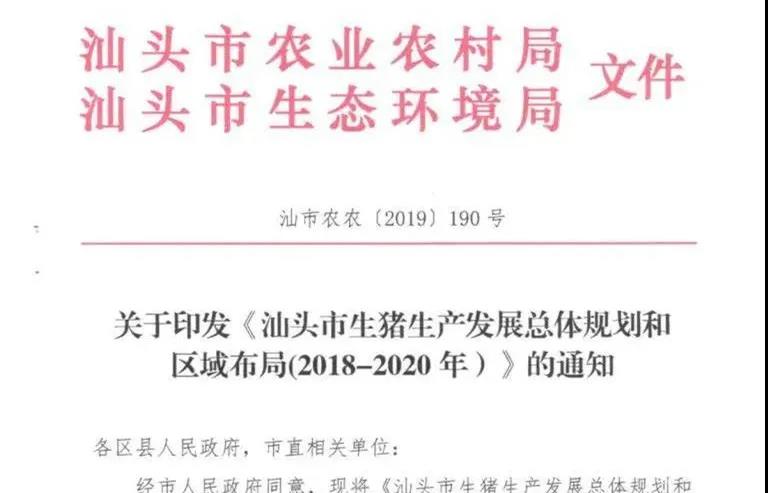 生猪规模养殖