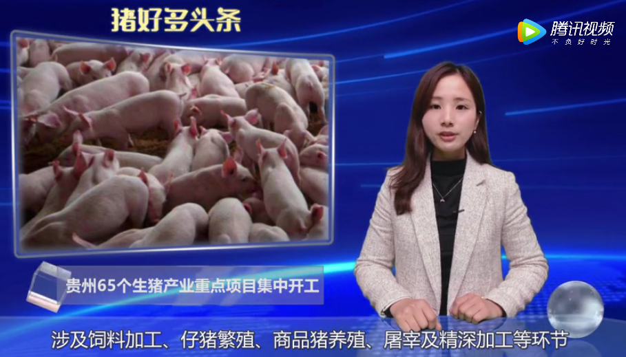 投资123亿元、新增生猪700万头，贵州65个生猪产业重点项目集中开工