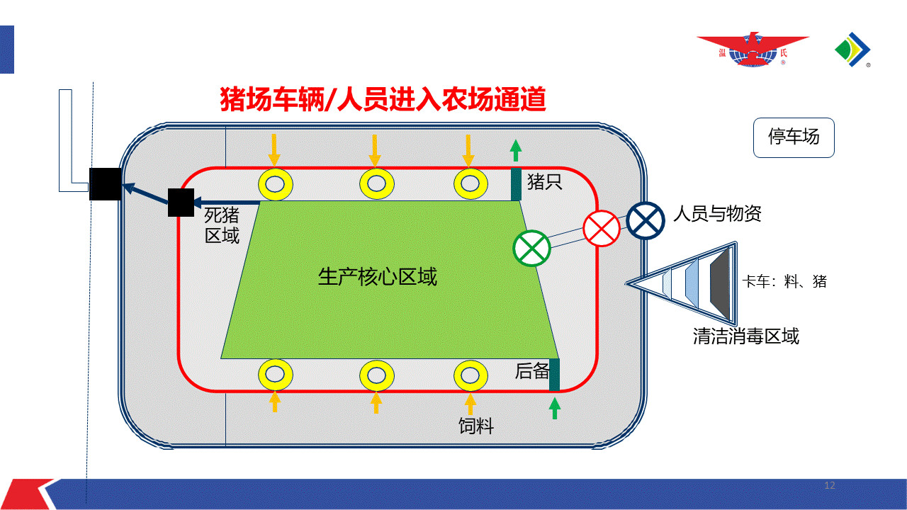 不锈钢饲槽