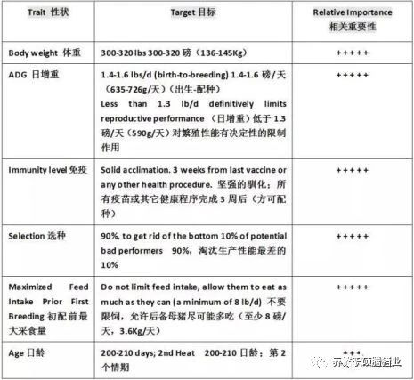 数据表