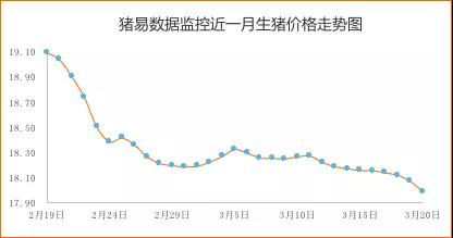 数据表