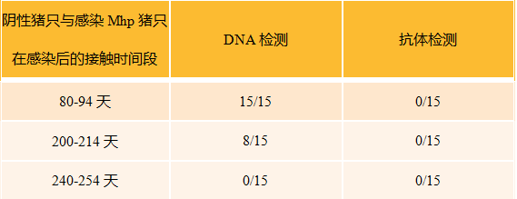 数据表