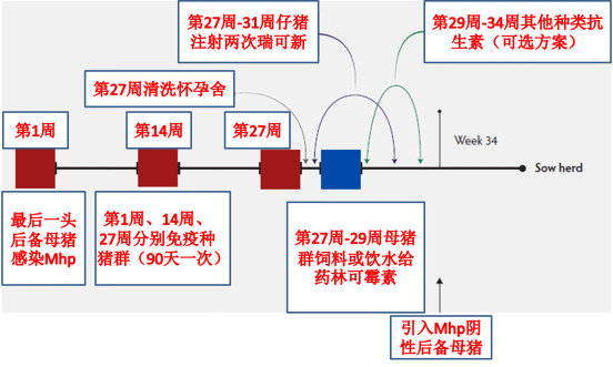 数据表