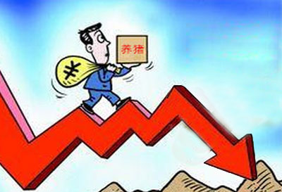 近期全国猪价回落企稳趋势明显，南北方生猪价格差缩小
