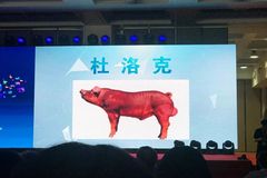 【直播回顾】超3万人参与的线上养猪课堂，到底讲了啥？