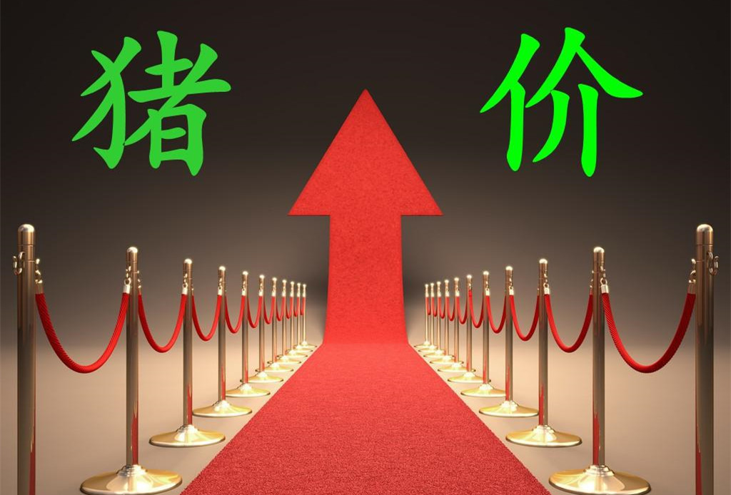 3月23日猪价，市场消费需求疲软叠加屠企压价，储备肉投放或将加剧猪价持续下跌