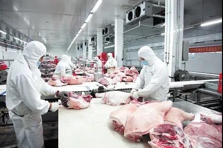 猪肉制品的安全问题