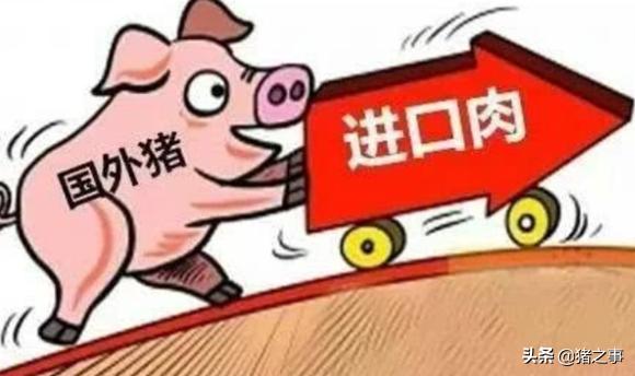 进口肉