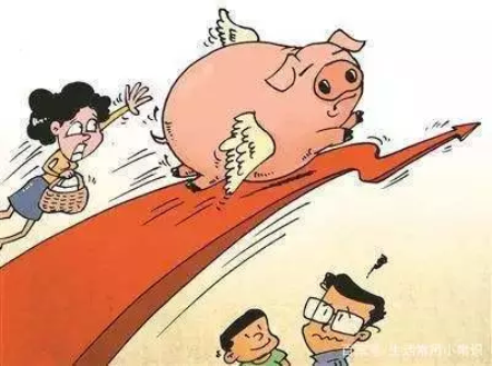 真给力！国家帮你来养猪，10条利好消息莫错过，你感动了吗？