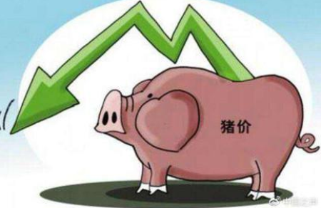 3月28日全国生猪价格内三元报价表，全国猪价下跌明显，仅6个省份上涨！