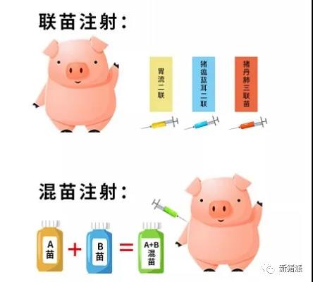 混苗不等于联苗