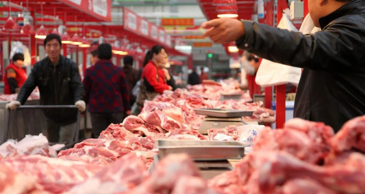 德国肉类企业来华生产生猪，5亿欧元不算啥，眼界比加拿大高不少