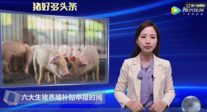 养猪补贴申请流程（四）：各类生猪养殖补贴申报时间！