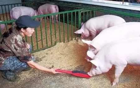 福州市永泰县严抓生猪屠宰执法 提升畜产品质量安全