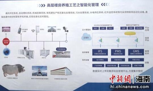 图为项目高层楼房养殖工艺智能化管理示意图。 　　