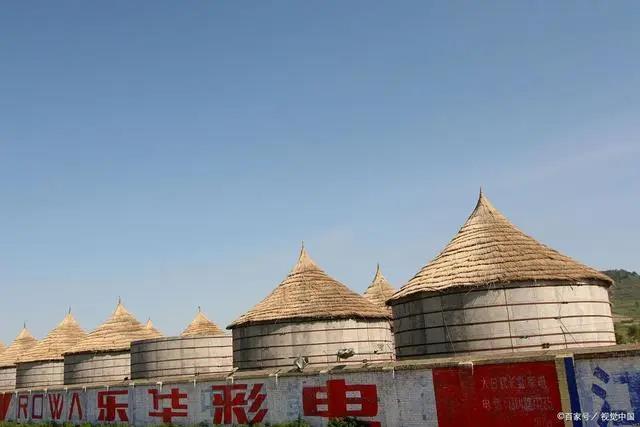 大豆