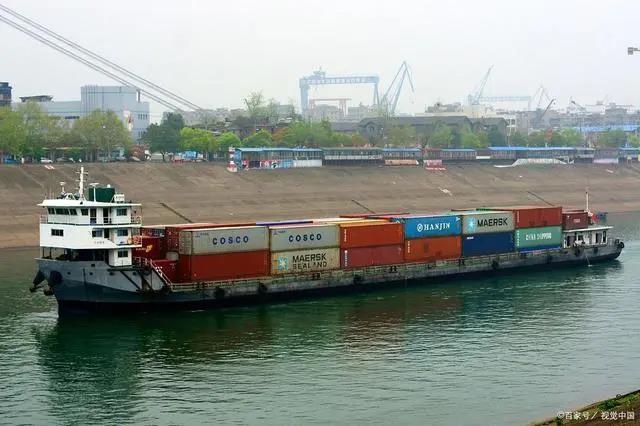 大豆