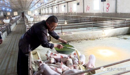 生猪养殖产业扶贫