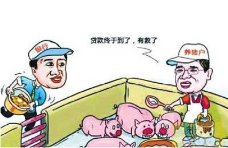 黑龙江启动信贷“应急通道” 首批8家规模养猪企业共获贷4亿元