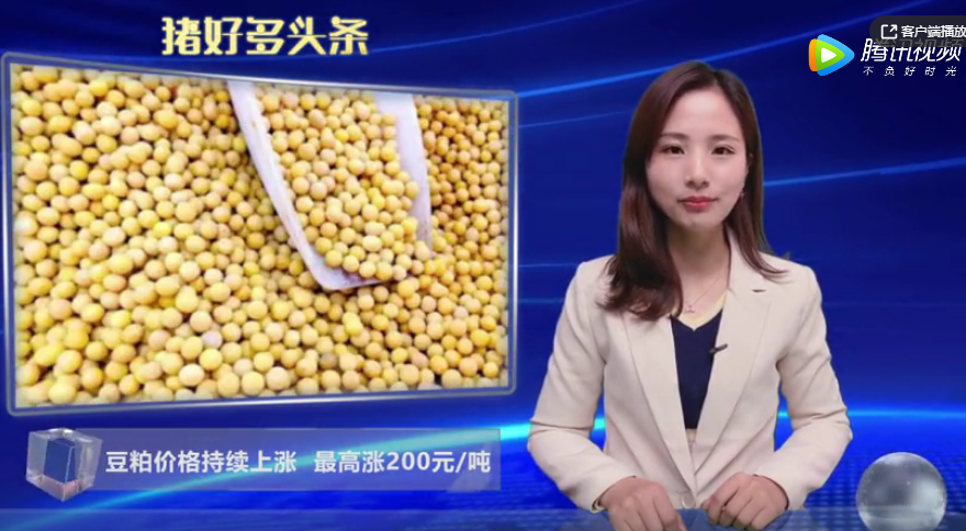 国内豆粕供应紧缺，豆粕价格持续上涨，最高涨200元/吨！