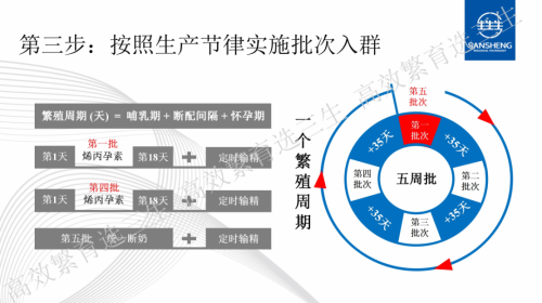 批次入群