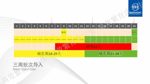 二周批次导入