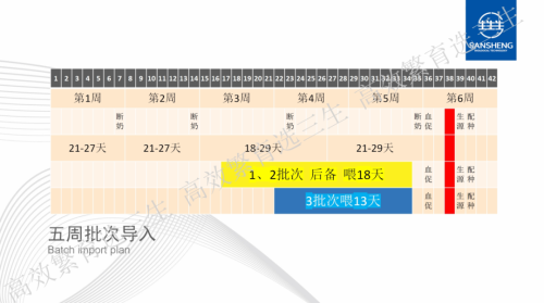 五周批次导入