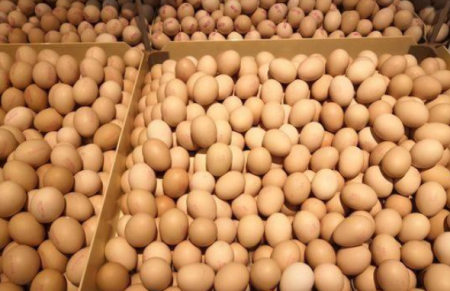 超市中正在售卖的禽蛋