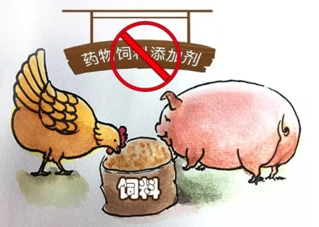 自行配制饲料征求意见稿：养殖者不得对外提供饲料产品或配置服务