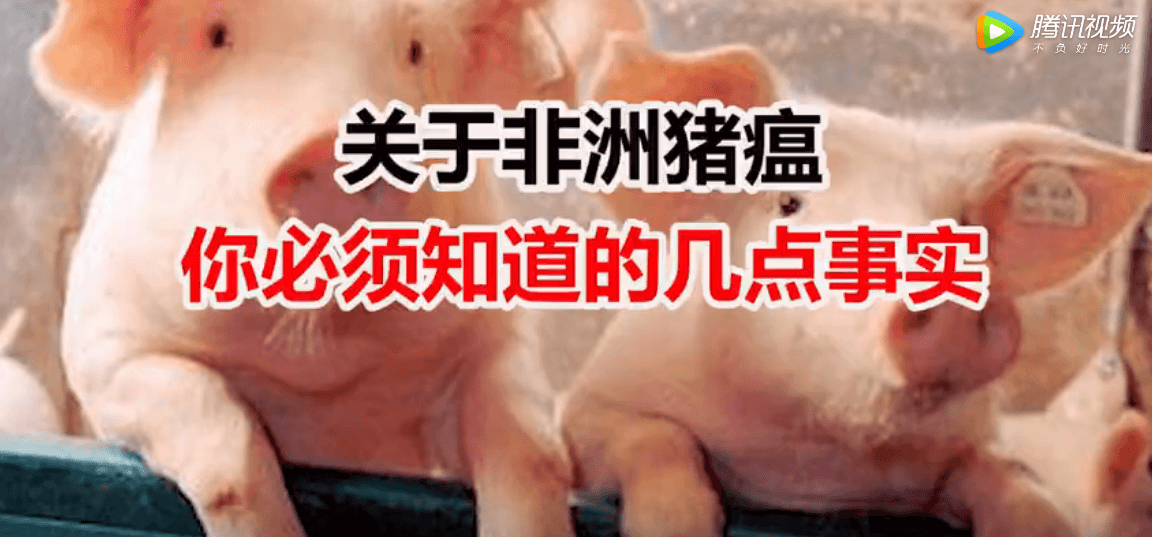 关于非洲猪瘟，这几点事实你必须要知道！