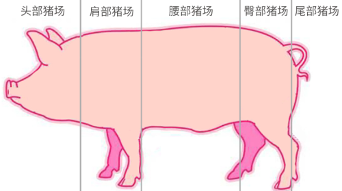 播恩集团曹建波：猪业三抗，路在脚下