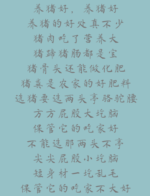 养猪歌谣