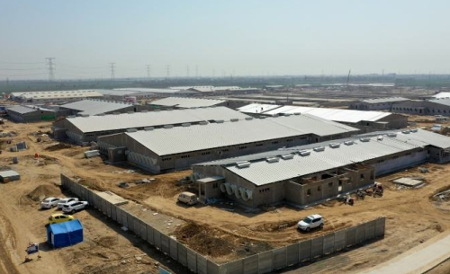 黑龙江兰西40万头生猪养殖项目紧张施工 预计4月末可竣工投产