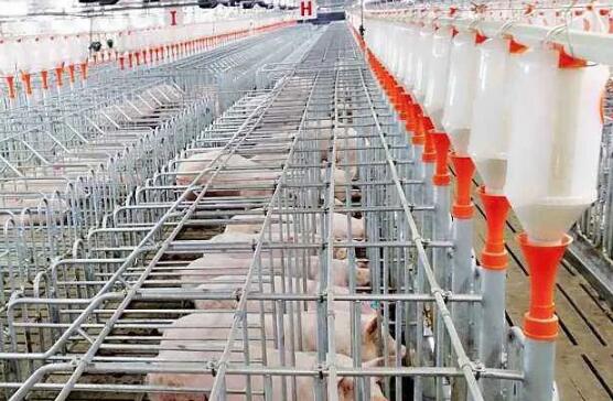 哈尔滨：计划新扩建 22 家生猪养殖场，预计新增生猪出栏 21.6 万头