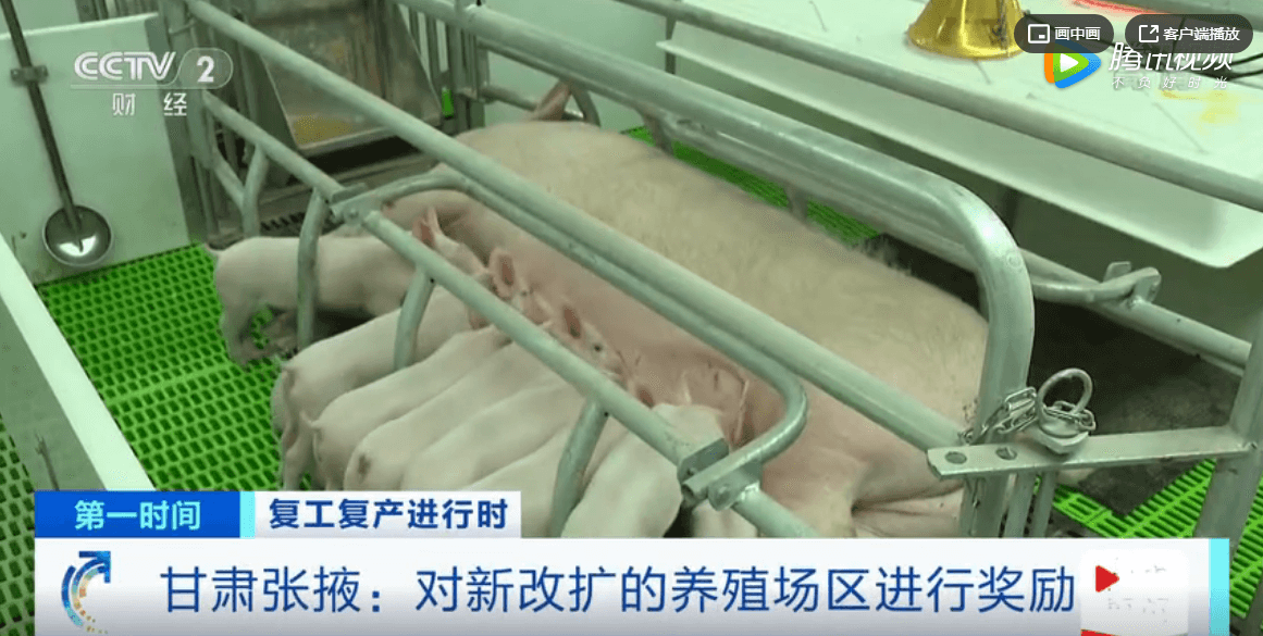 甘肃张掖：对新改扩的养殖场区进行奖励