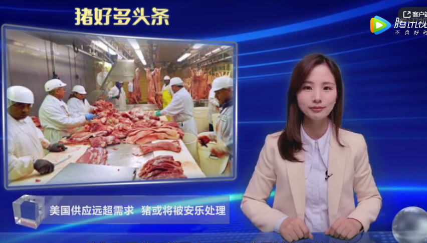 美国猪肉消费大幅下降，生猪供过于求，农场将被迫将猪安乐处理！