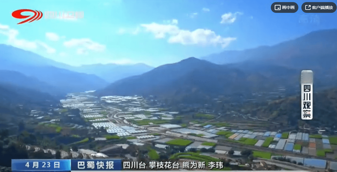 优质猪投资项目签约仪式完成 150万头优质生猪产业项目落户攀枝花！